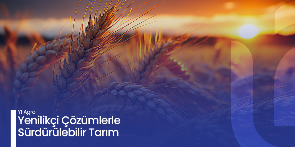 Yenilikçi Çözümlerle Sürdürülebilir Tarım