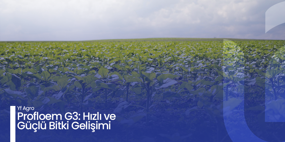 Organik Tarımın Çevre Dostu Geleceği-blog