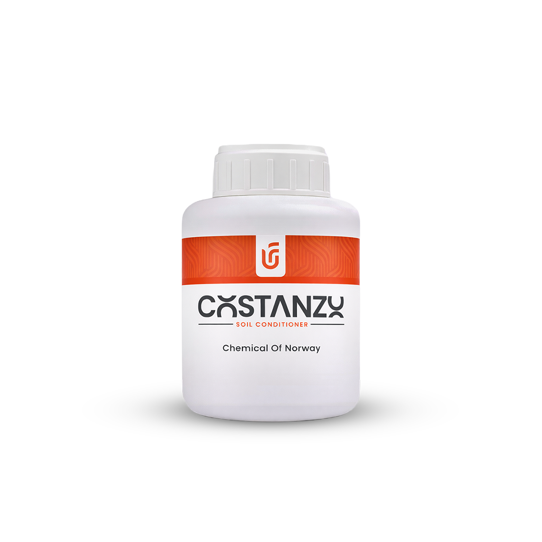 Costanzo