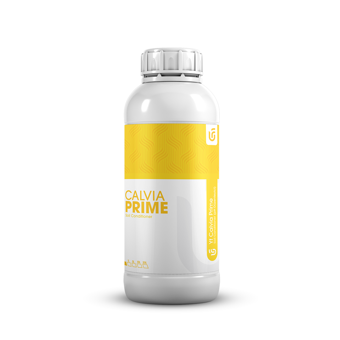 Calvia Prime