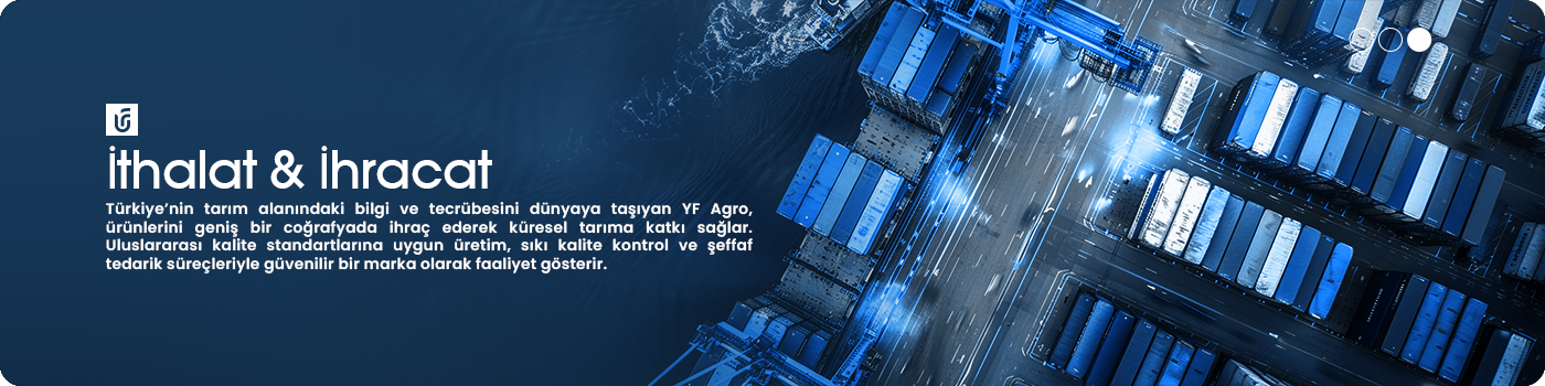 3-İtalat İhracat